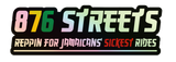 876 Streets 12 Inch Holographic Decal